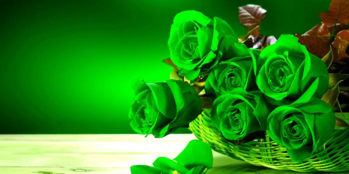 1920x1080 Green Flowers Wallpapers