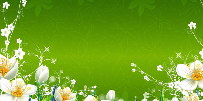 1600x1250 Green Flowers Wallpapers