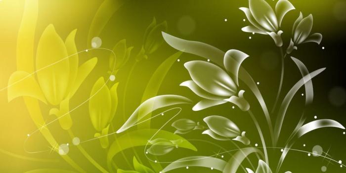 1024x768 Free Light green Vector flowers abstract backgrounds Wallpaper