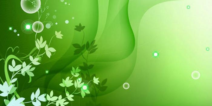 1600x1000 Free download Green Flowers Wallpapers HD Pictures One HD