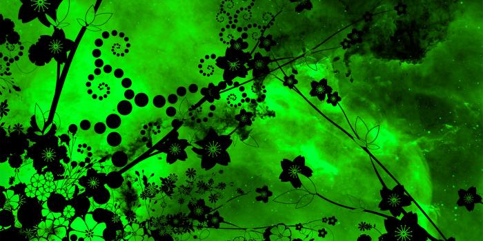 1680x1050 Green Flower Wallpaper Free Wallpaper - Green Flower Wallpaper