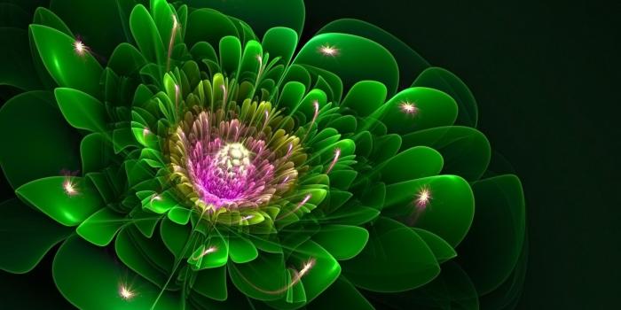 1920x1200 1920x1200 Dark Green Fractal Flower desktop PC and Mac wallpaper