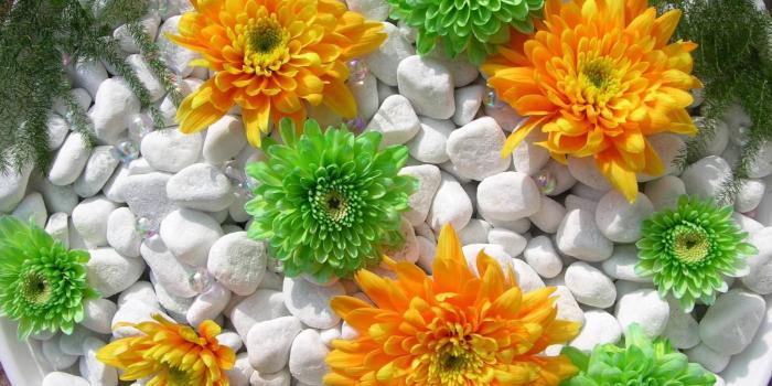 1600x1200 Desktop Wallpapers » Flowers Backgrounds » Green and Orange Dahlia