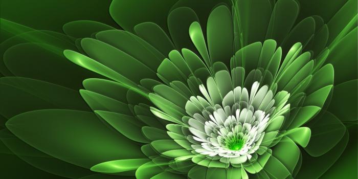 1920x1200 1920x1200 Green Flower Abstract desktop PC and Mac wallpaper