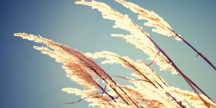 2560x1600 Aesthetic movement MacBook Air Wallpaper Download | AllMacWallpaper