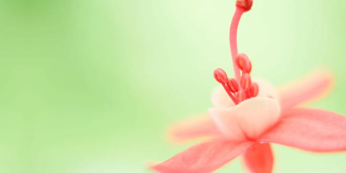 1600x1000 Windows Server 2012 | System Center 2012: Windows 8 Official