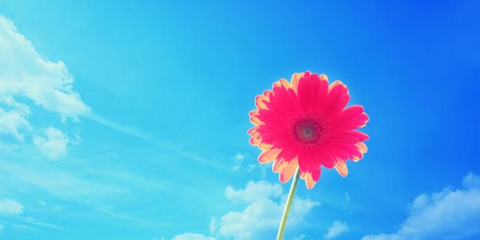 1920x1200 Windows 8 background themes - SF Wallpaper