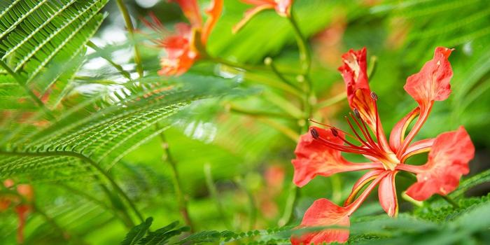 1920x1200 High Definition Wallpapers For Windows 8 Group (88+)