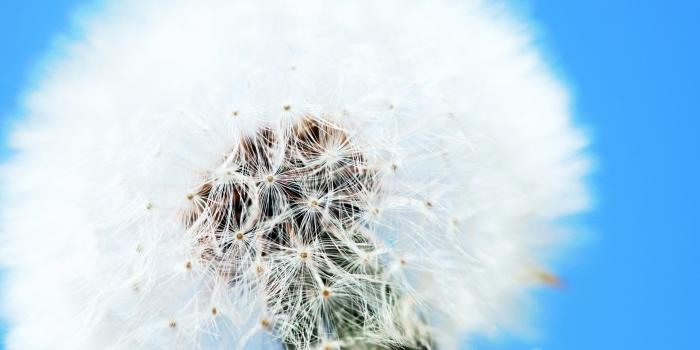 2560x1600 Featured Wallpapers Archives | HD Wallpapers