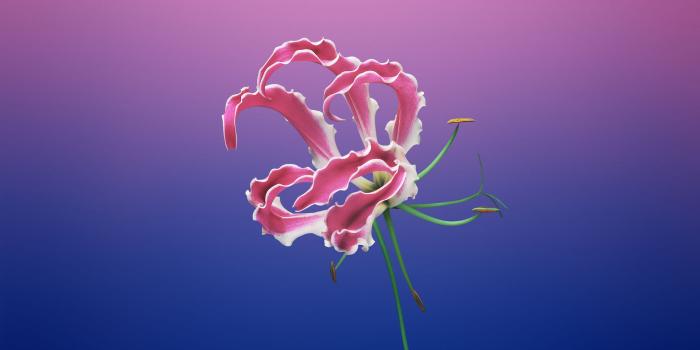 1920x1080 Download macOS Mojave wallpapers - View from the Park