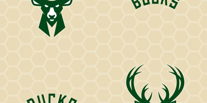 2000x2000 Fathead Boston Celtics Logo 12.5' L x 24