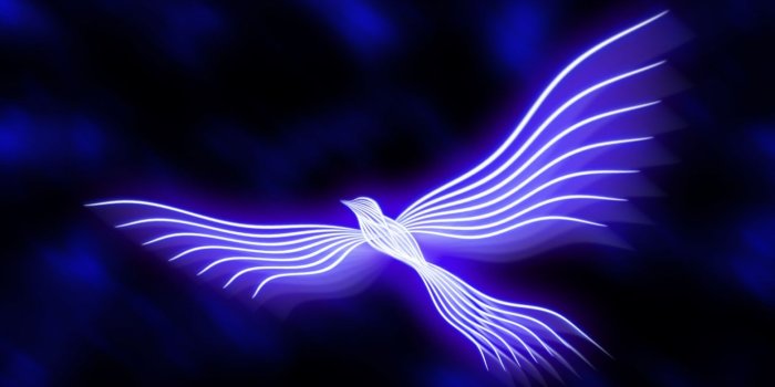 1440x900 Free download the blue phoenix by nuclear pilot customization