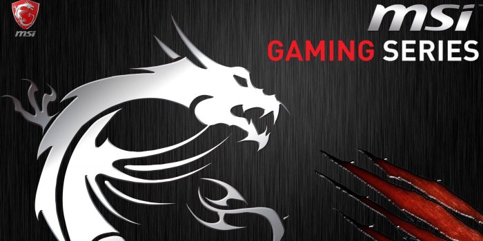 2560x1440 78+ MSI Gaming Dragon