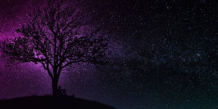 1332x850 Wallpaper dark, wallpaper, black, art, tree, man, hill, purple