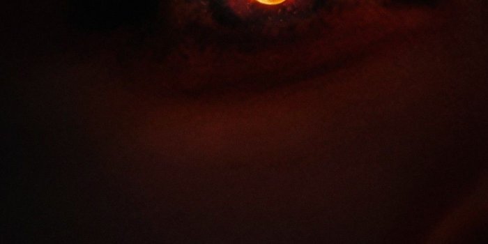 1080x1920 Dark Phoenix Full Movie Poster | 2020 Movie Poster Wallpaper HD