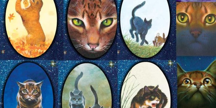 874x1295 Warriors Cats Cats - Warrior Cats Wallpaper Iphone - 874x1295