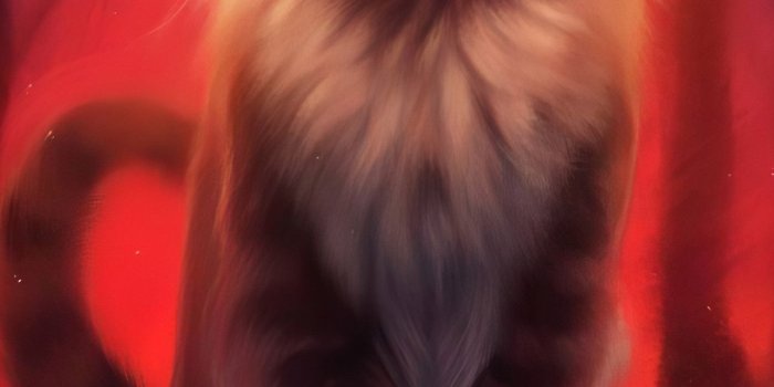 1280x2120 1280x2120 Warrior Cat 4k iPhone 6+ HD 4k Wallpapers, Images