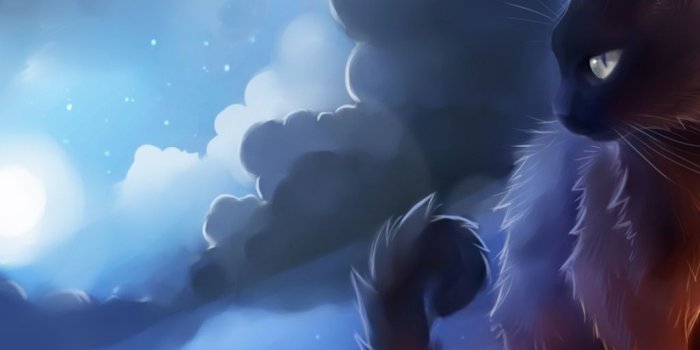 1024x1024 Black Cat iPad wallpaper | Warrior cat names, Warrior cats, Cat