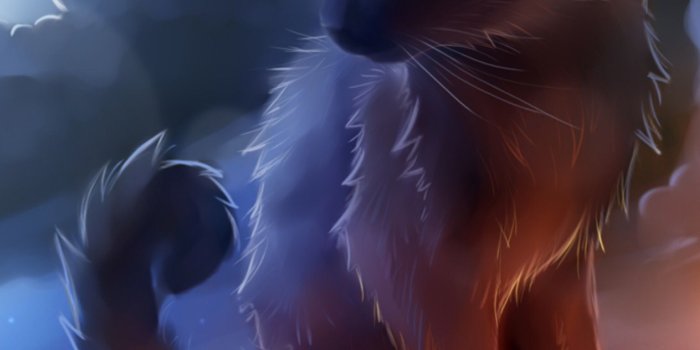 1536x1964 Warrior cat in star clan | Black cat anime, Cats illustration