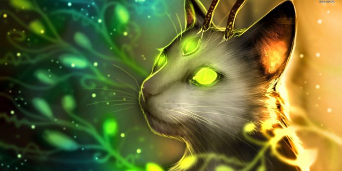 1920x1080 Warrior Cats Wallpapers - Top Free Warrior Cats Backgrounds