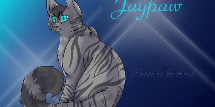 1600x1200 Warrior Cats Wallpapers