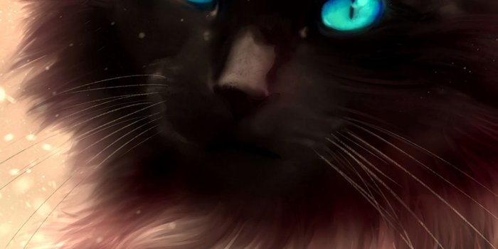 1080x1920 art blue-eyed cat - Infinity Wallpaper | Cat drawing, Cute cat