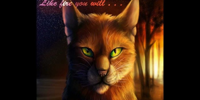1280x720 Warriors Cats Firestar Life (#2545601) - HD Wallpaper