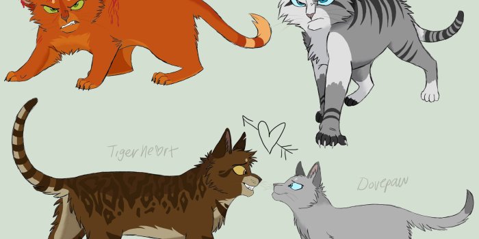 2278x1692 Download Free Warrior Cats Backgrounds