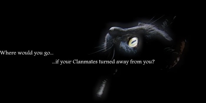 1600x1200 Warrior Cats Wallpapers Clans Desktop Background