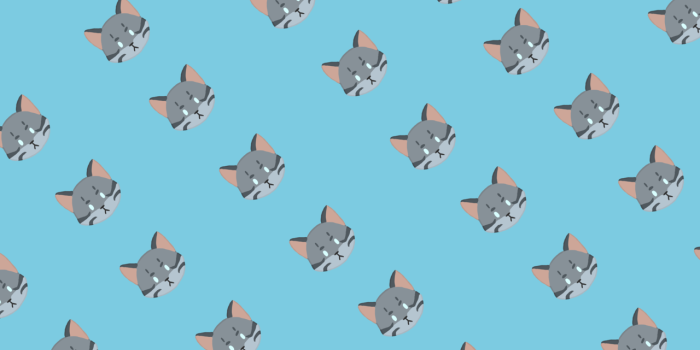 1280x959 Jayfeather Wallpaper (works on iPad/Phone too) : WarriorCats