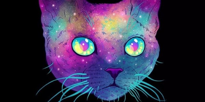 1082x1920 Animals Vintage Wallpaper Cats Wwwgalleryneedcom - Trippy