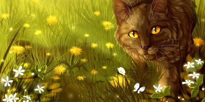 1332x850 Wallpaper cat, flowers, Cats-Warriors, Brambleclaw images for