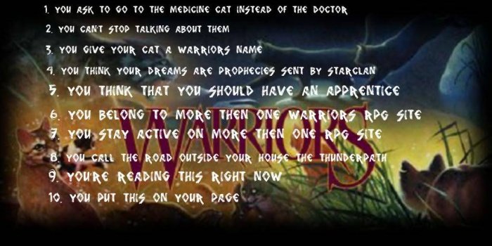 1024x768 Free download AT THIS Warrior cats of the clans Wallpaper 28967601