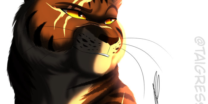 959x1039 Beautiful Tigerstar Warrior Cats Masterlan - Warrior Cats