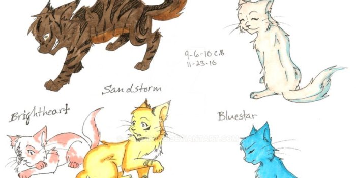 962x1370 Warrior Cats Thunderclan Cats | Amazing Wallpapers