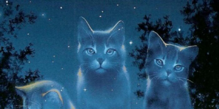 1024x768 Warriors Cats Backgrounds