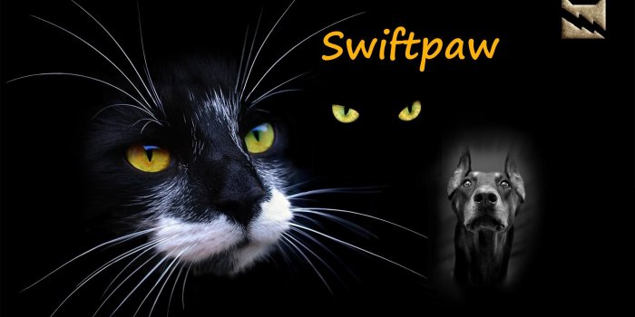 2560x1600 Warrior Cats Wallpaper Scourge ·① WallpaperTag