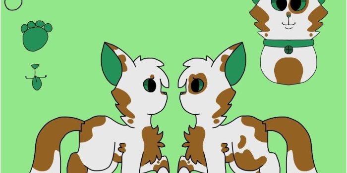 1024x768 Download Warrior Cats Wallpaper, HD Backgrounds Download - itl.cat