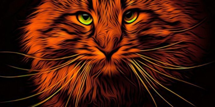 720x1280 Cat, animal, digital art, 720x1280 wallpaper | Cats, Animals