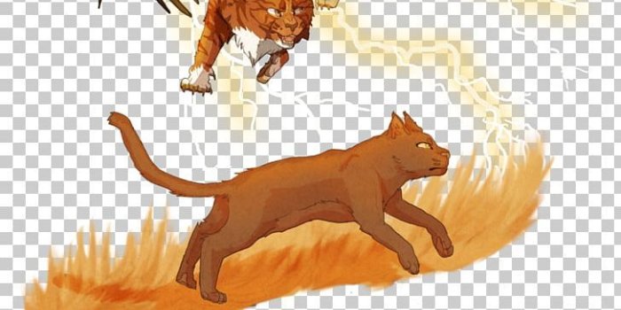 728x1526 Warriors Cat Erin Hunter Kitten Shadowstar PNG, Clipart, Animals