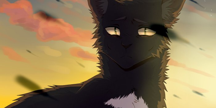 2150x1800 Warrior Cats Wallpaper Scourge ·① WallpaperTag