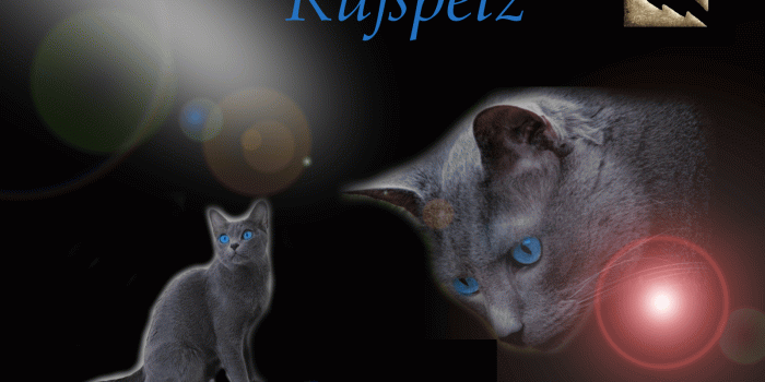 1600x1200 Warrior Cats Wallpapers - Top Free Warrior Cats Backgrounds