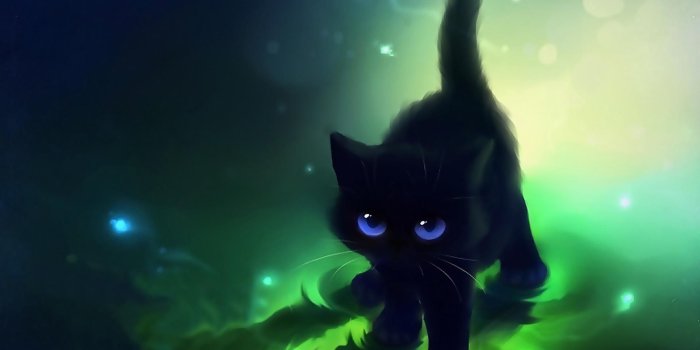 1920x1483 Images For > Cute Anime Cat Wallpapers | Black cat anime, Cute