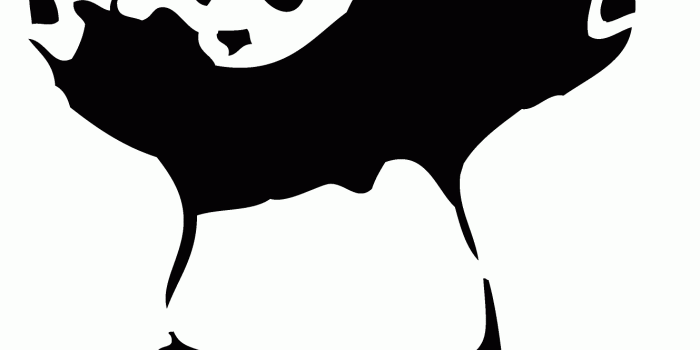 1329x1365 Panda With Guns Wallpapers