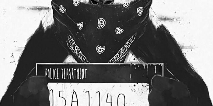 1080x1920 Bad panda | Panda art, Panda wallpapers, Art