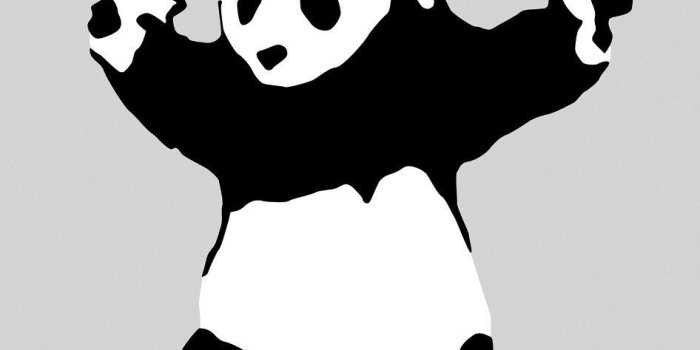 946x1200 11x14 Poster Print Banksy Panda | Poster prints, Banksy art, Art