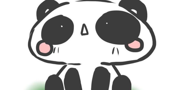 894x894 Panda With Guns Wallpapers