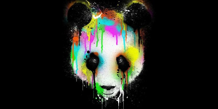 1920x1080 Wallpaper of Animal, Panda, Muzzle, Graffiti background & HD image