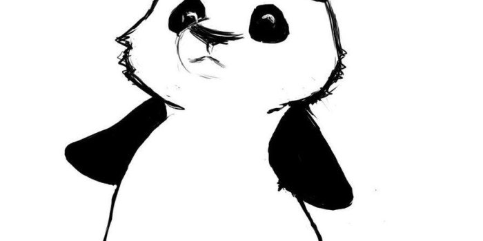 894x894 Panda With Guns Wallpapers