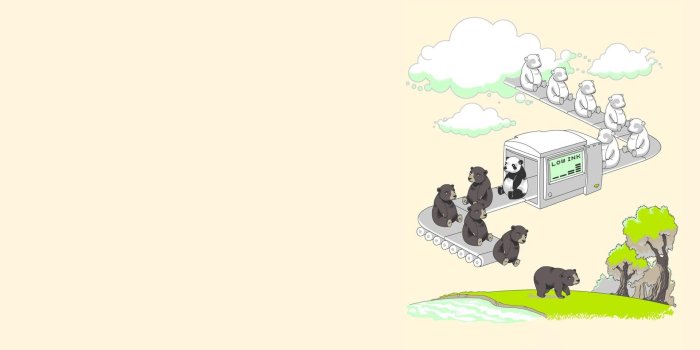 1920x1080 Panda with pistol wallpaper, minimalism, panda HD wallpaper